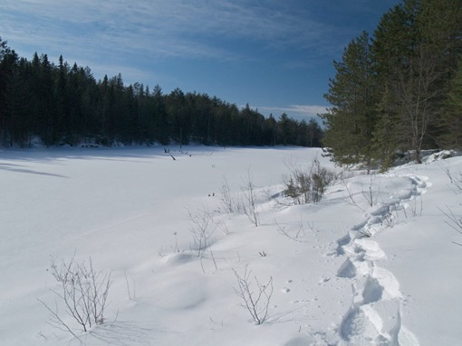 snow covered pond