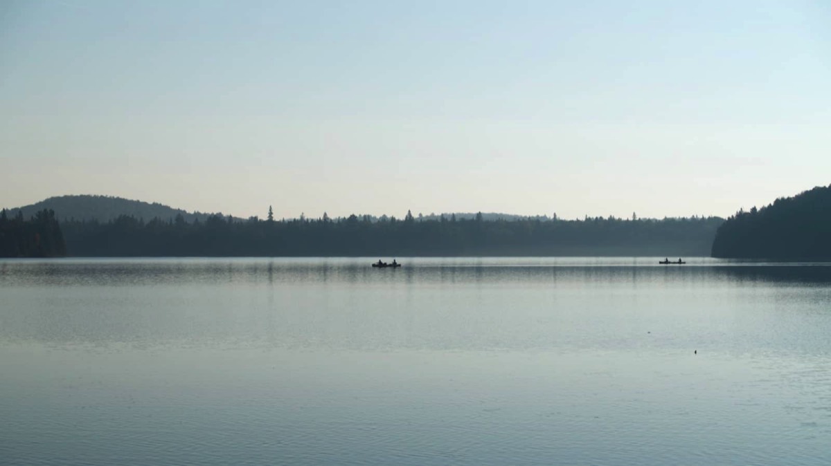 Rosebary Lake