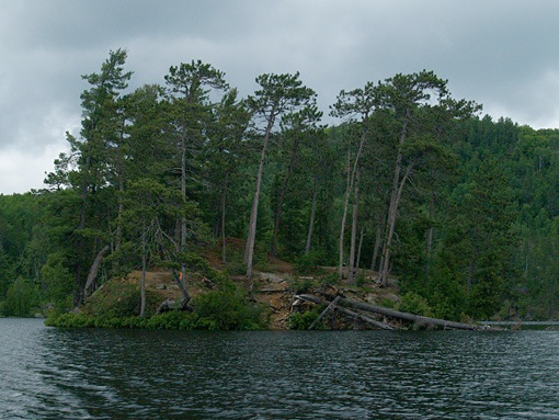 Laurel Lake island campsite